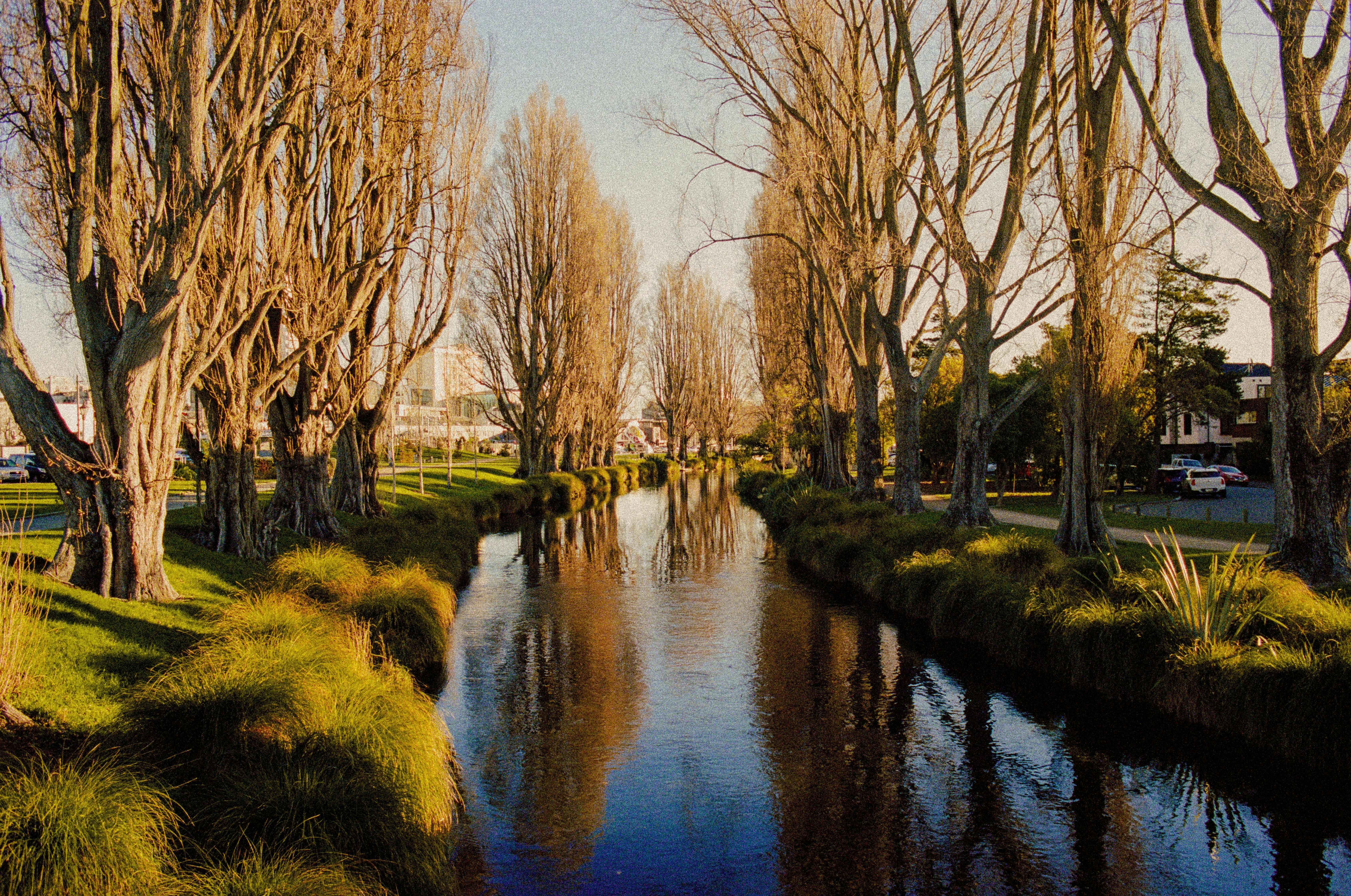 Christchurch river scene